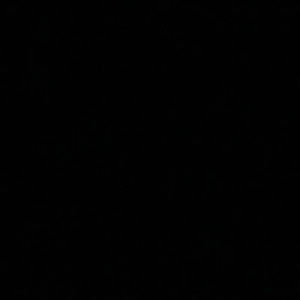 Meet your Posher, Jayden